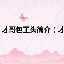 才哥包工头简介（才哥）