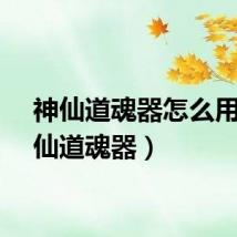 神仙道魂器怎么用（神仙道魂器）