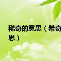 稀奇的意思（希奇的意思）