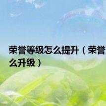 荣誉等级怎么提升(荣誉系统怎么升级)