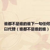 谁都不是谁的谁下一句任何人都可以代替(谁都不是谁的谁)