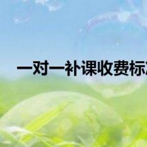一对一补课收费标准