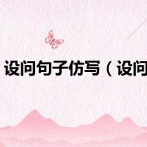设问句子仿写（设问句）