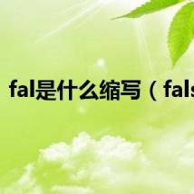 fal是什么缩写(falsh)