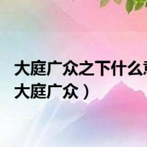 大庭广众之下什么意思（大庭广众）