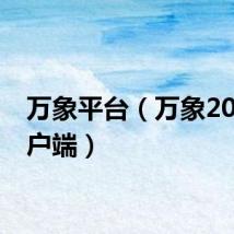 万象平台（万象2004客户端）