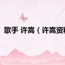 歌手 许嵩（许嵩资料）