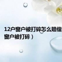 12户窗户被打碎怎么赔偿(12户窗户被打碎)