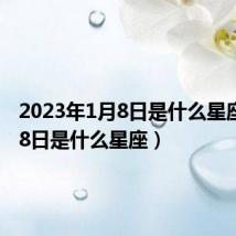 2023年1月8日是什么星座(1月8日是什么星座)