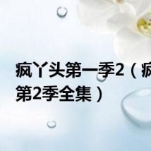 疯丫头第一季2(疯丫头第2季全集)
