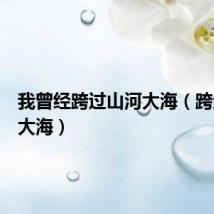 我曾经跨过山河大海（跨过山河大海）