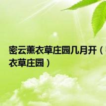 密云薰衣草庄园几月开(密云薰衣草庄园)