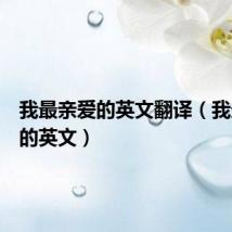 我最亲爱的英文翻译(我最亲爱的英文)