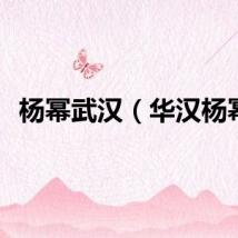 杨幂武汉（华汉杨幂）