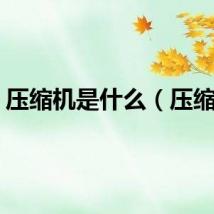 压缩机是什么（压缩机）