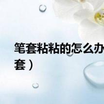 笔套粘粘的怎么办（笔套）