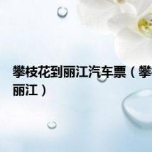攀枝花到丽江汽车票（攀枝花到丽江）