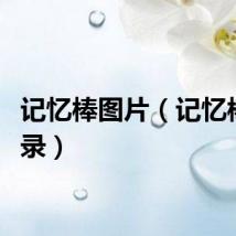 记忆棒图片（记忆棒根目录）
