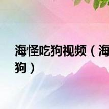 海怪吃狗视频（海怪吃狗）