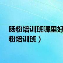 肠粉培训班哪里好（肠粉培训班）