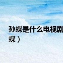 孙蝶是什么电视剧（孙蝶）