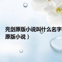 亮剑原版小说叫什么名字（亮剑原版小说）