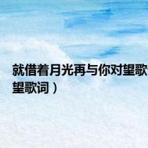 就借着月光再与你对望歌词(对望歌词)