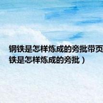 钢铁是怎样炼成的旁批带页码（钢铁是怎样炼成的旁批）