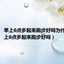 早上6点多起来跑步好吗为什么（早上6点多起来跑步好吗）