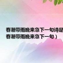 春潮带雨晚来急下一句诗是什么(春潮带雨晚来急下一句)