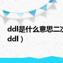 ddl是什么意思二次元(ddl)