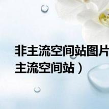 非主流空间站图片（非主流空间站）