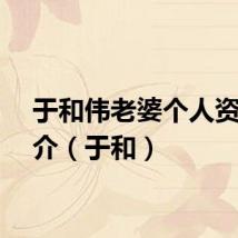于和伟老婆个人资料简介（于和）