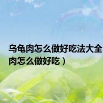 乌龟肉怎么做好吃法大全(乌龟肉怎么做好吃)
