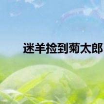 迷羊捡到菊太郎