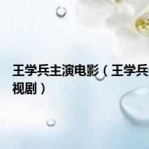 王学兵主演电影(王学兵最新电视剧)