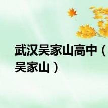 武汉吴家山高中（武汉吴家山）