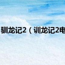 驯龙记2（训龙记2电影）