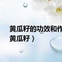 黄瓜籽的功效和作用（黄瓜籽）