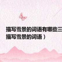 描写雪景的词语有哪些三年级(描写雪景的词语)
