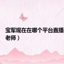 宝军现在在哪个平台直播（军宝老师）