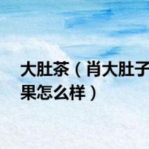 大肚茶（肖大肚子茶效果怎么样）