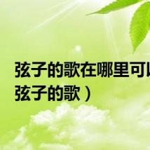 弦子的歌在哪里可以听（弦子的歌）