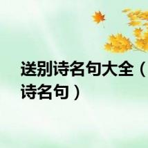 送别诗名句大全（送别诗名句）