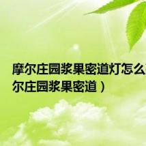 摩尔庄园浆果密道灯怎么亮(摩尔庄园浆果密道)
