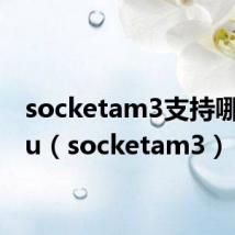 socketam3支持哪些cpu(socketam3)