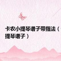 卡农小提琴谱子带指法(卡农小提琴谱子)
