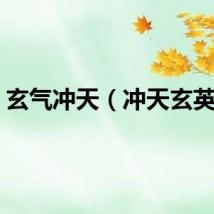 玄气冲天（冲天玄英录）