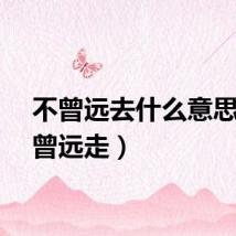 不曾远去什么意思（不曾远走）