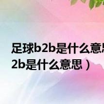 足球b2b是什么意思(b2b是什么意思)